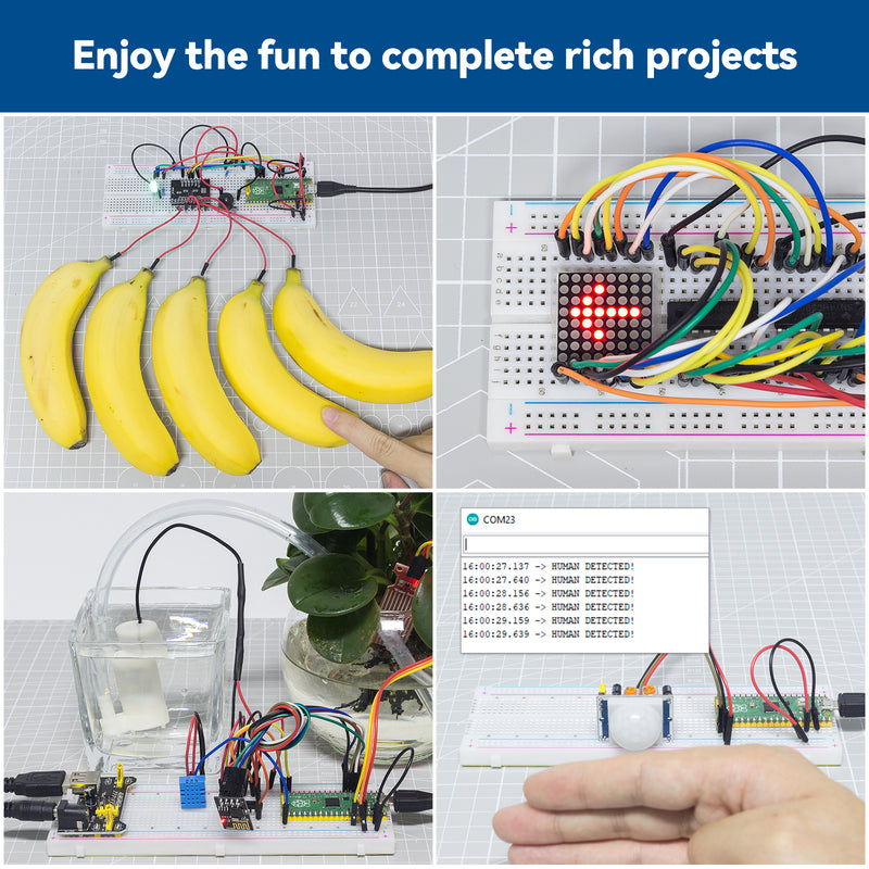 Raspberry Pi Pico Starter kit - Euler