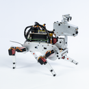 PiDog AI Robot Dog Kit for Raspberry Pi 5/4/3B+/Zero 2W, LLMs ChatGPT-4o/Gemini/Grok, Voice&Video Recognition, Python, App Control, Battery, Gyroscope, Camera (RPI NOT Included) - SunFounder